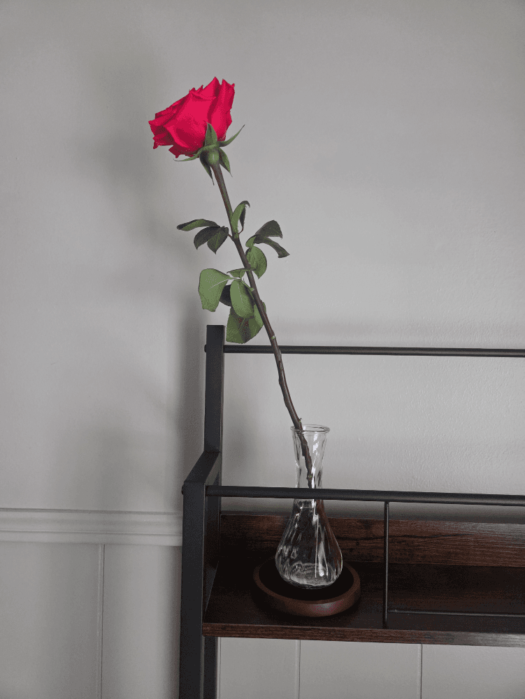The Housewifes Afternoon Secret
